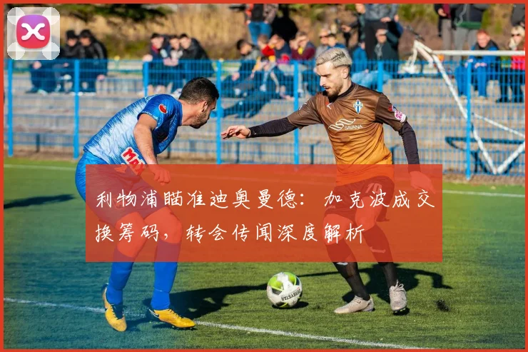 利物浦瞄准迪奥曼德：加克波成交换筹码，转会传闻深度解析