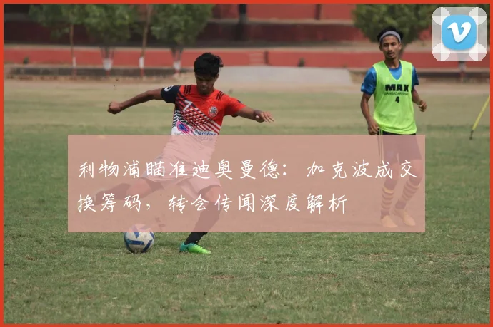 利物浦瞄准迪奥曼德：加克波成交换筹码，转会传闻深度解析